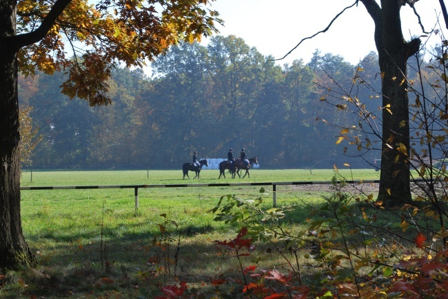 Hubertus w Mosznej