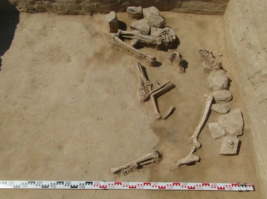 Nowe odkrycia archeologów w Złotej 