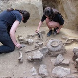 Nowe odkrycia archeologów w Złotej 