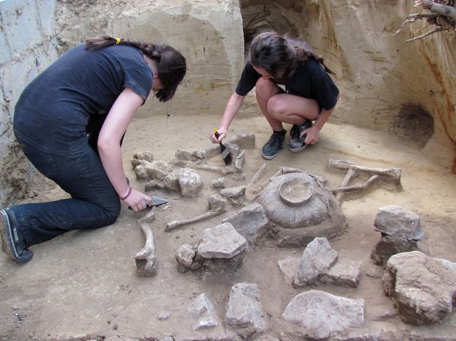 Nowe odkrycia archeologów w Złotej 