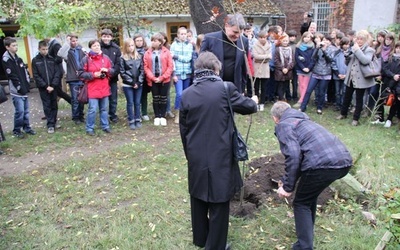 Moment sadzenia dębu