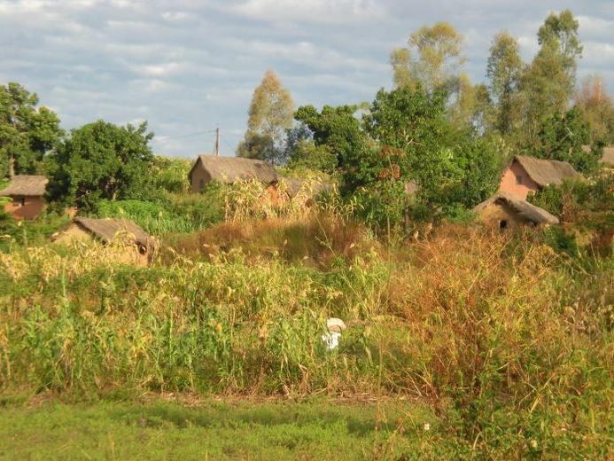 Taxi brousse po Madagaskarze