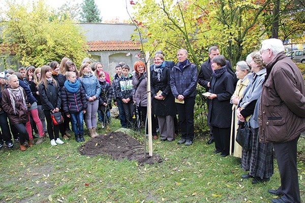 Łowicz, 23 października. Dąb już rośnie w skansenie