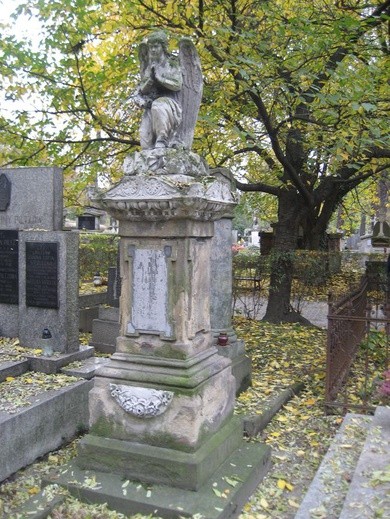 Cmentarz Rakowicki jesienią