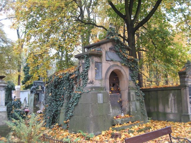 Cmentarz Rakowicki jesienią