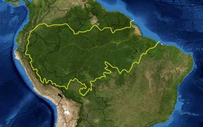Kolejne obszary Puszczy Amazońskiej pod ochroną