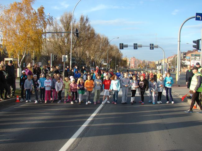 Bieg Niepodległości