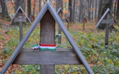 Brak tytułu