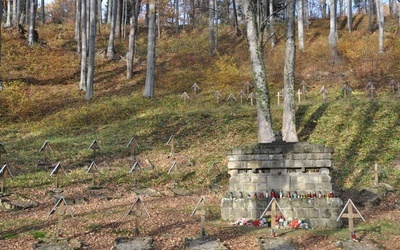 Brak tytułu