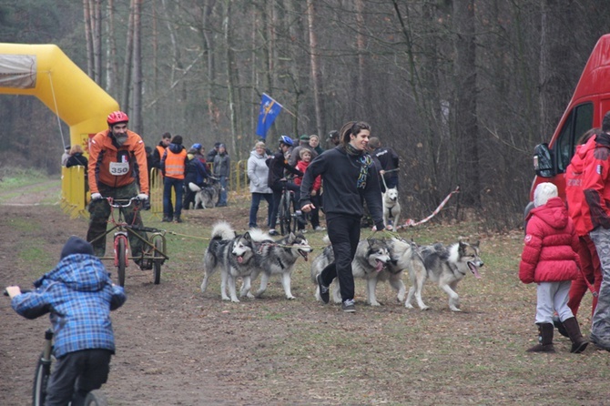 VI Wyścigi Psich Zaprzęgów Wataha Cup