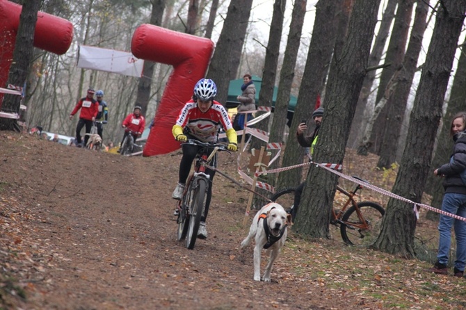 VI Wyścigi Psich Zaprzęgów Wataha Cup