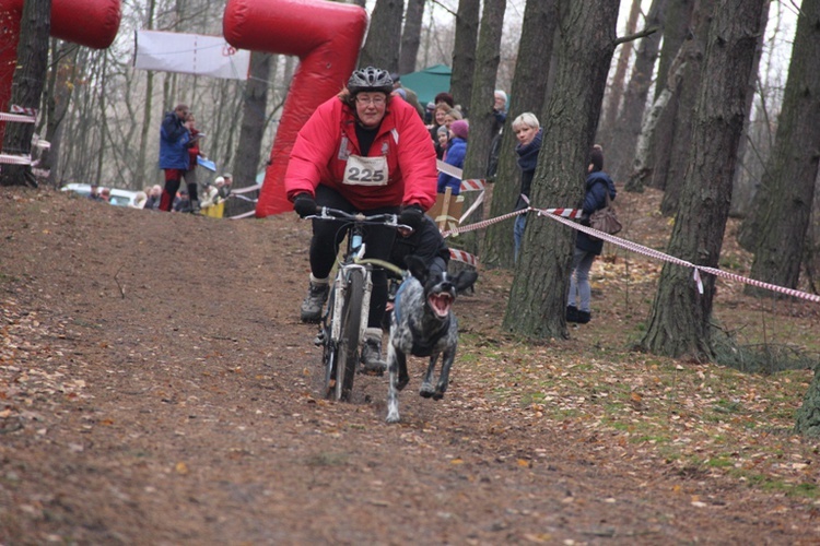 VI Wyścigi Psich Zaprzęgów Wataha Cup