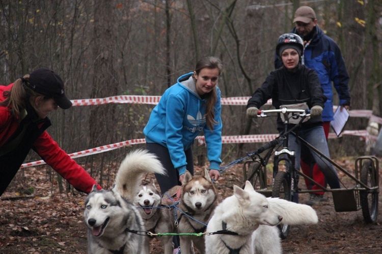 VI Wyścigi Psich Zaprzęgów Wataha Cup