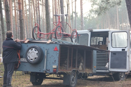 VI Wyścigi Psich Zaprzęgów Wataha Cup