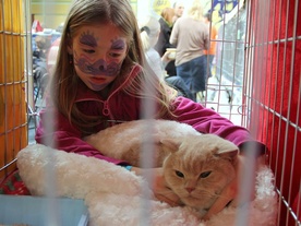 Na wystawę tłumnie przyszli też mali miłośnicy kotów