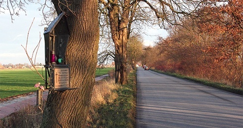  Samochód, którym jechał biskup, uderzył w drzewo na prostym odcinku drogi