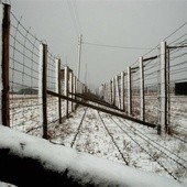 Skandaliczny obraz z ludzkich prochów