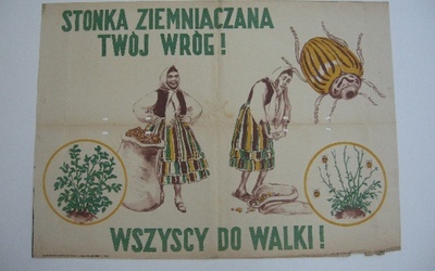 Siła słabych papierów