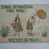 Siła słabych papierów