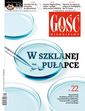 GN: W szklanej pułapce