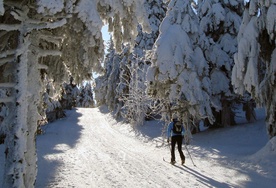 Płaszcz i korona