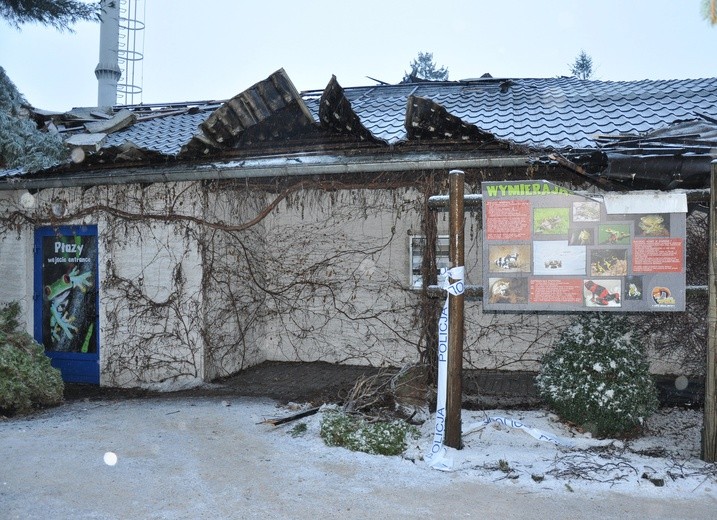 Duże straty w opolskim zoo