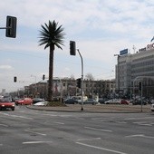 Urodziny palmy przy rondzie de Gaulle'a