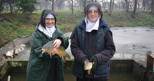 Kup karpia... od sióstr!