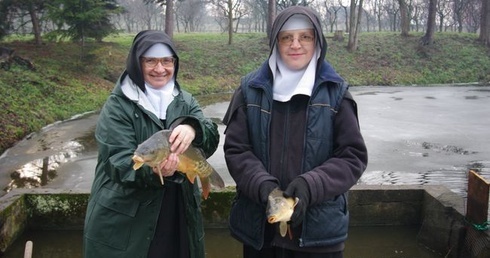 Karpie od benedyktynek