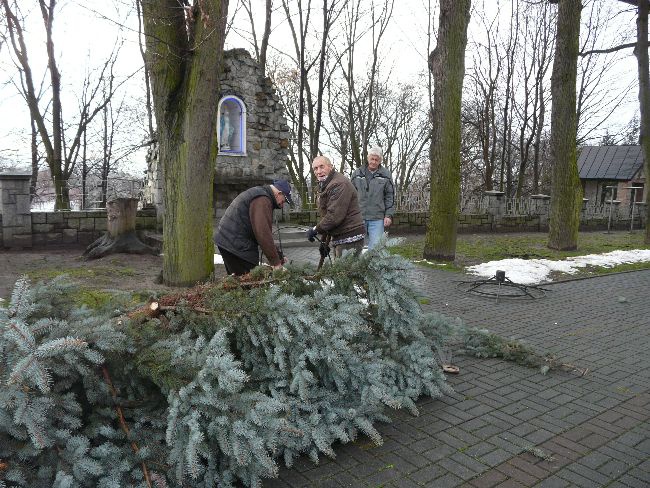 Rajskie drzewo w kościele