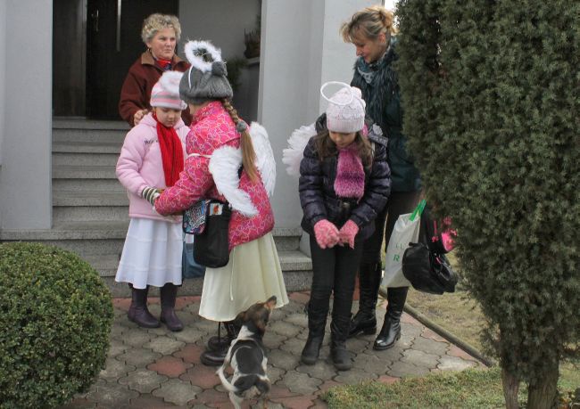 Kolędnicy misyjni w Górkach Śląskich