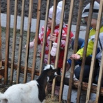 Żywa szopka u franciszkanów w Tarnowie