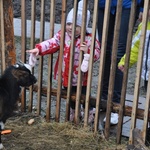 Żywa szopka u franciszkanów w Tarnowie