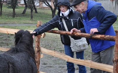 Brak tytułu
