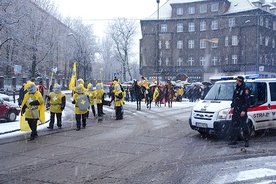  W każdym mieście orszaki wzorowo zabezpieczały straż miejska  oraz policja, nie zanotowano ani jednego incydentu