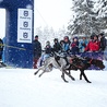 Być może niedługo wyścigi psich zaprzęgów na Polanie Jakuszyckiej będą rywalizowały ilością kibiców z zawodami Pucharu Świata w narciarstwie biegowym