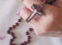 Babcia rozdaje karty