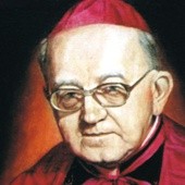 Bp Wilhelm Pluta