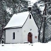  W ponad 60 krajach jest prawie 200 sanktuariów szensztackich. Tylko nasze, koszalińskie, jest poświęcone przez samego papieża