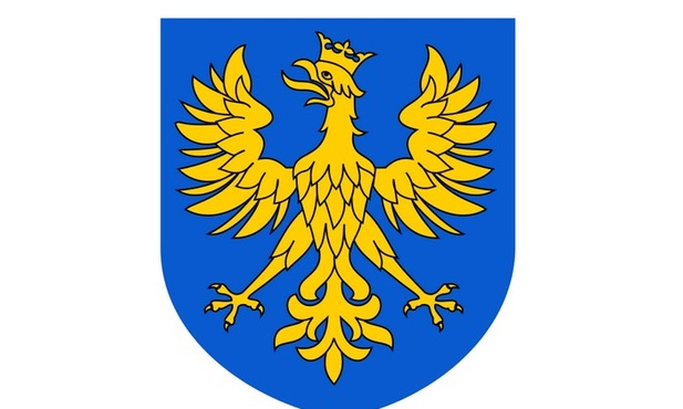 Niepoprawny Orzeł Biały