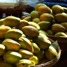 Owoce mango