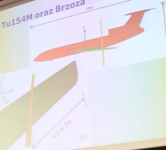 Brzoza w Smoleńsku złamana na wys. 666 cm