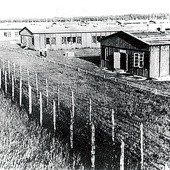 W szczytowym okresie w Stalagu Luft IV przebywało w takich barakach ok. 10 tys. jeńców 