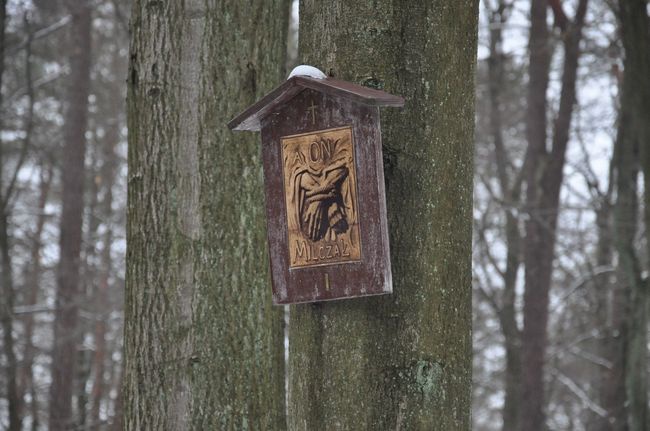 Czuwanie wielkopostne Szensztat