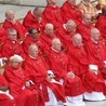 Adoptuj kardynała