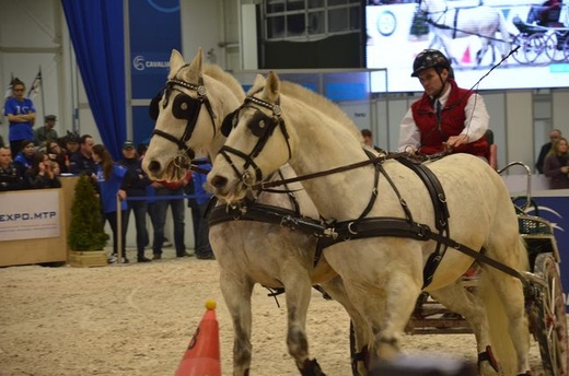 Cavaliada
