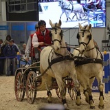 Cavaliada