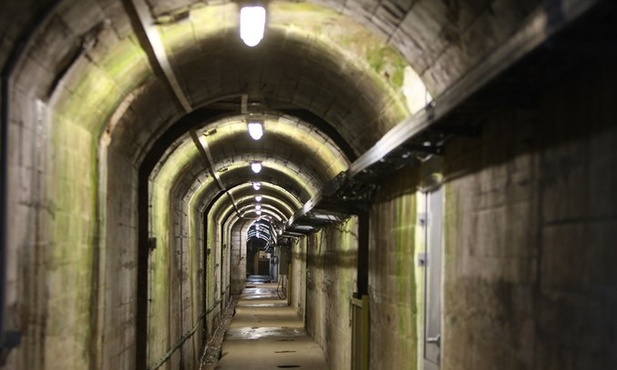 Dać się poprowadzić