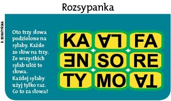 Mózgołamacze