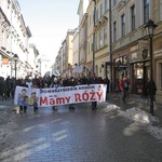 Manifestowali w obronie rodziny